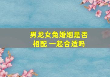 男龙女兔婚姻是否相配 一起合适吗